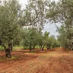 Krinesgreece *