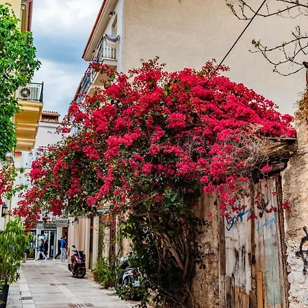 Krinesgreece Ferienhaus Tarsina