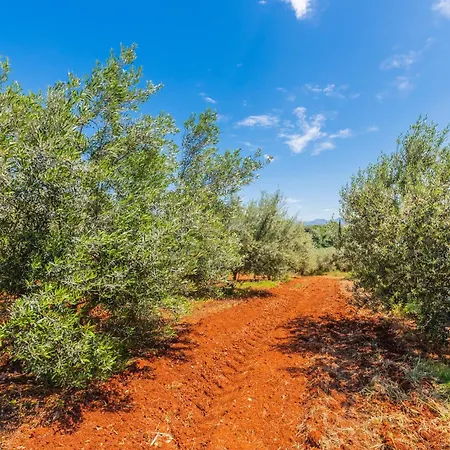 Krinesgreece Ferienhaus Tarsina