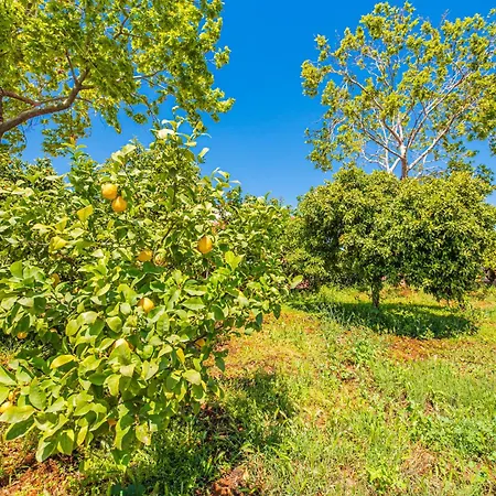 Ferienhaus Krinesgreece *