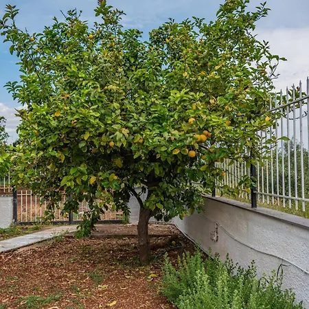 Krinesgreece Ferienhaus Tarsina