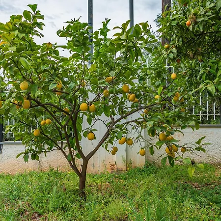 Krinesgreece Casa de Férias