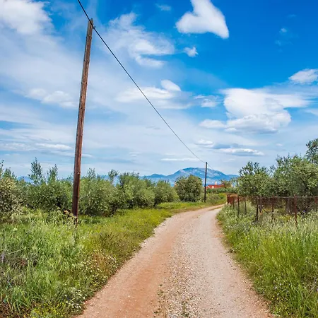 Krinesgreece Tarsina