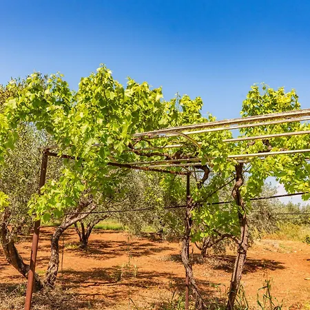 Krinesgreece Ferienhaus Tarsina