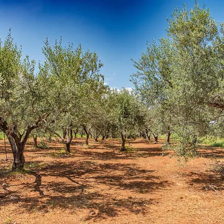 Ferienhaus Krinesgreece Tarsina