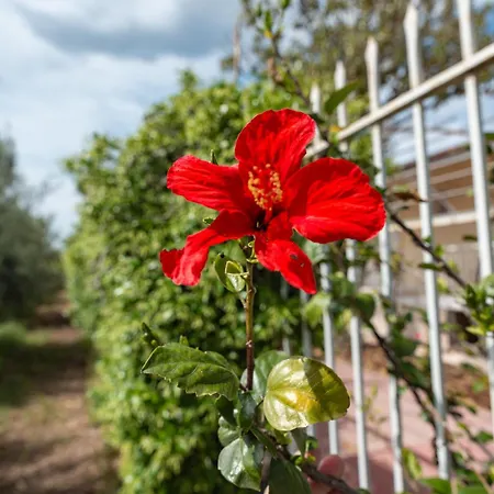 Ferienhaus Krinesgreece