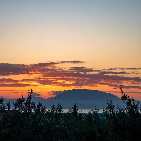 Krinesgreece Tarsina