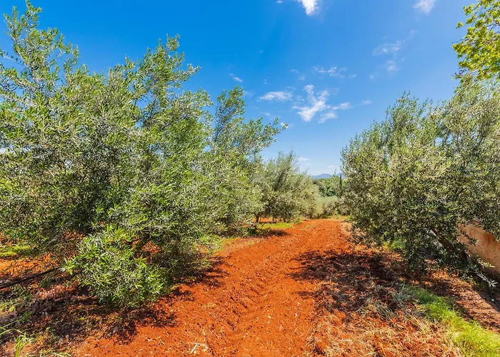 Krinesgreece Casa de Férias Tarsina