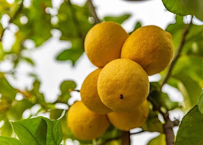 Krinesgreece Σπίτι διακοπών *