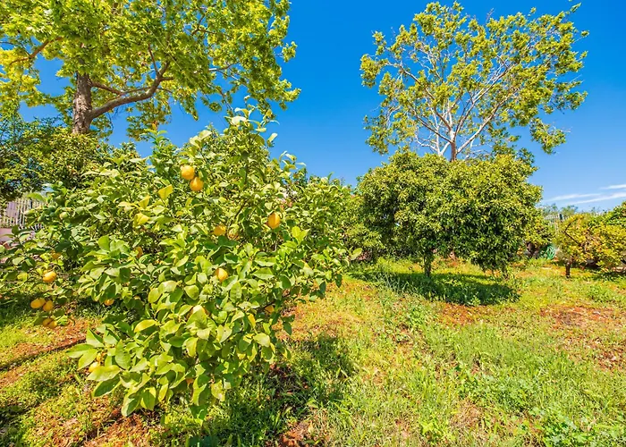 Σπίτι διακοπών Krinesgreece *