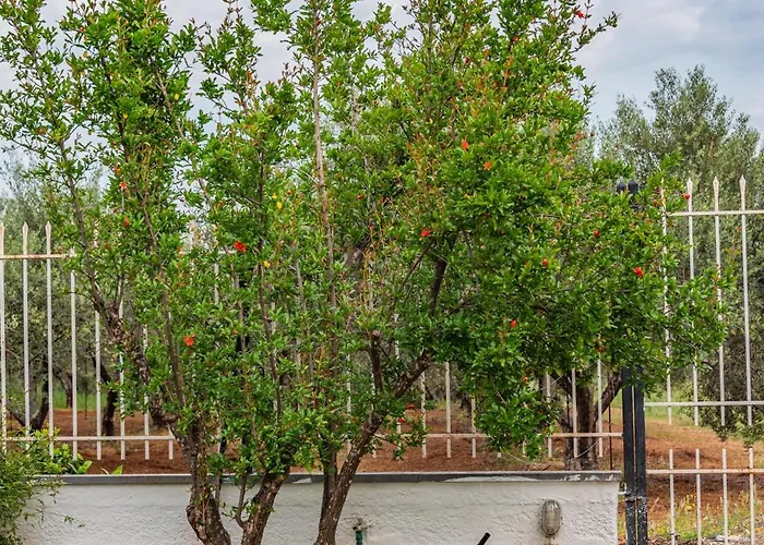 Σπίτι διακοπών Krinesgreece Tarsina