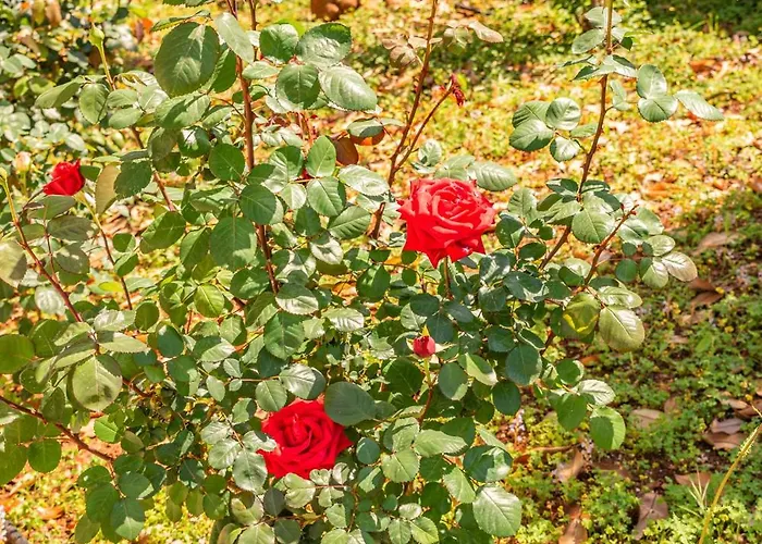 Krinesgreece Casa de Férias *