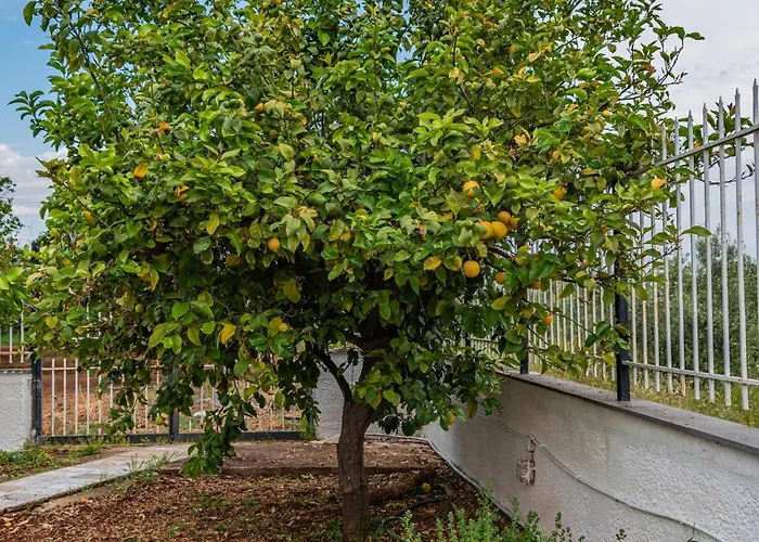 Krinesgreece Casa de Férias Tarsina