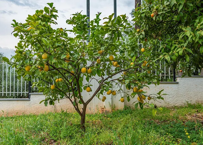 Krinesgreece Casa de Férias