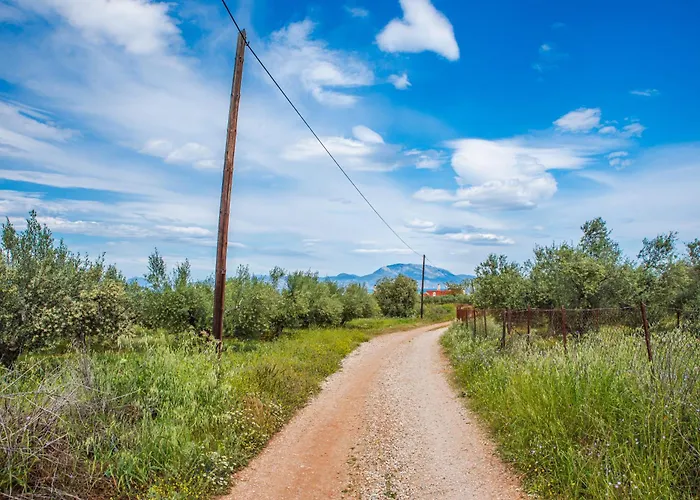 Krinesgreece Tarsina