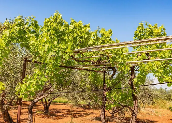 Krinesgreece Σπίτι διακοπών Tarsina