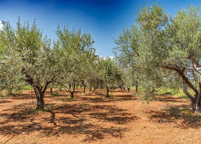 Σπίτι διακοπών Krinesgreece Tarsina