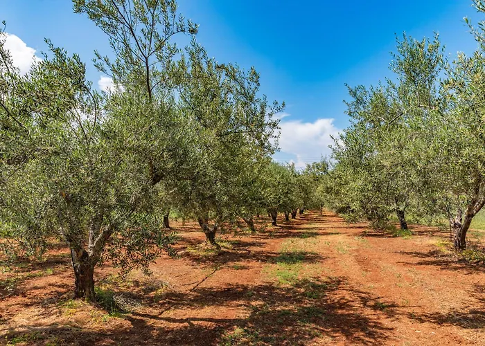 Krinesgreece Σπίτι διακοπών Tarsina